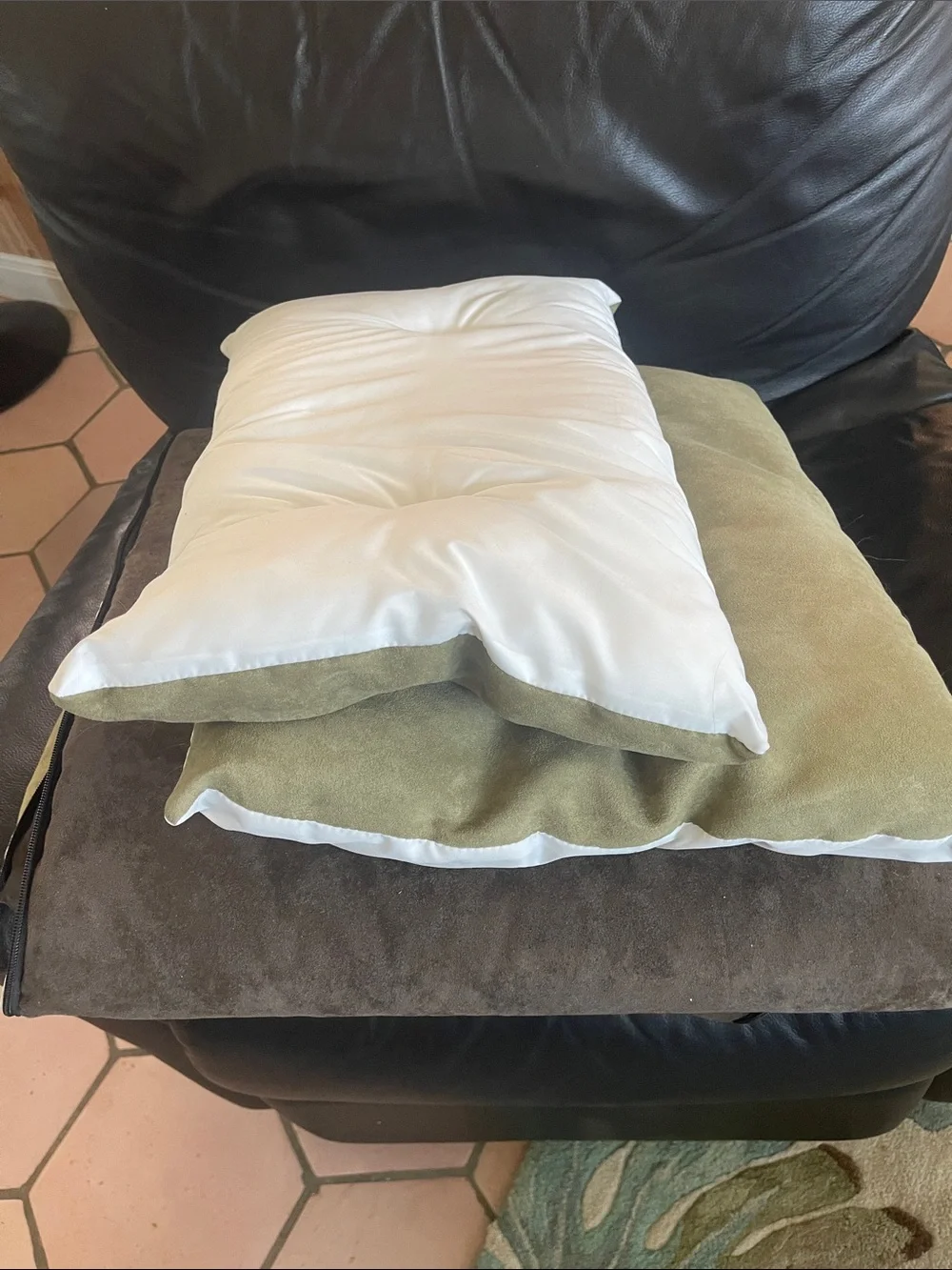 Plush Indoor Dog Cave Bed with Green Cushion - BB Logo